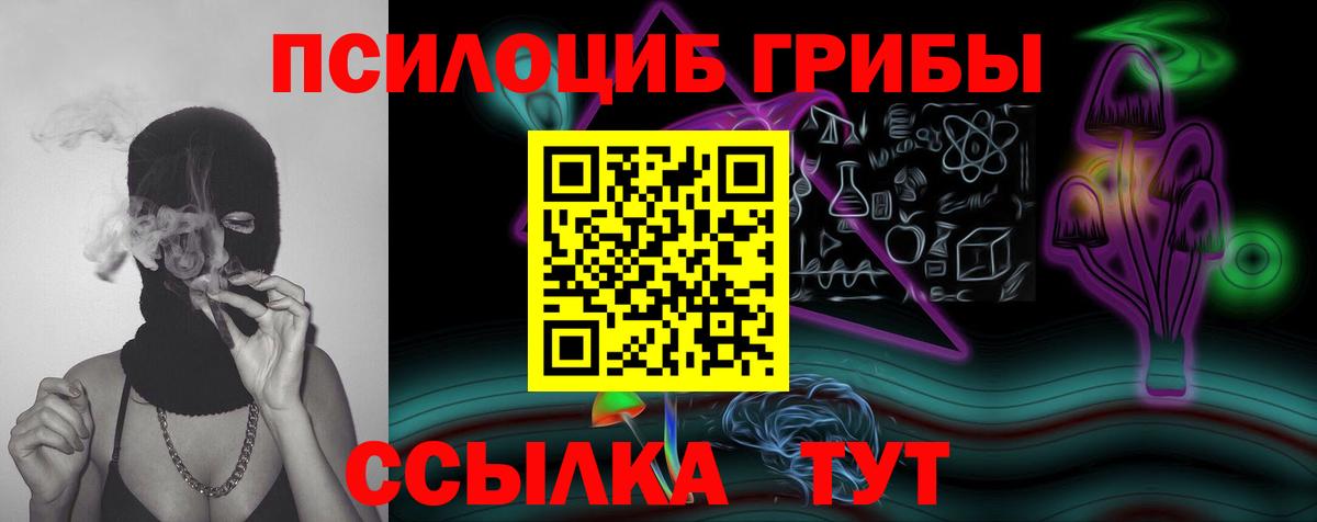 Галлюциногенные грибы Cubensis  Вход с VPN  Сальск  Галлюциногенные грибы мицелий 